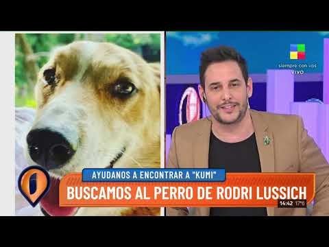 ¡Ayudanos! Rodrigo Lussich busca a su perro "Kumi"