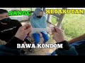 TERC1DUK NGE VVE DI GUBUK DER1TA