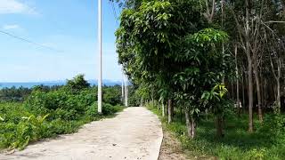 Sloping Land Plot with Spectacular views of the Sea & Mountains in Nong Thaley