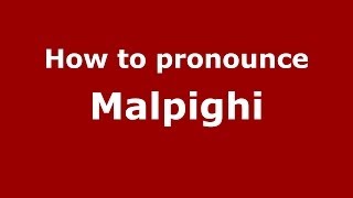 How to pronounce Malpighi
