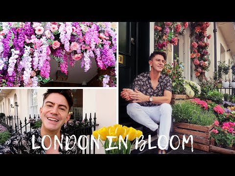 download lagu mp3 mp4 Carrington Flower Shop, download lagu Carrington Flower Shop gratis, unduh video klip Carrington Flower Shop