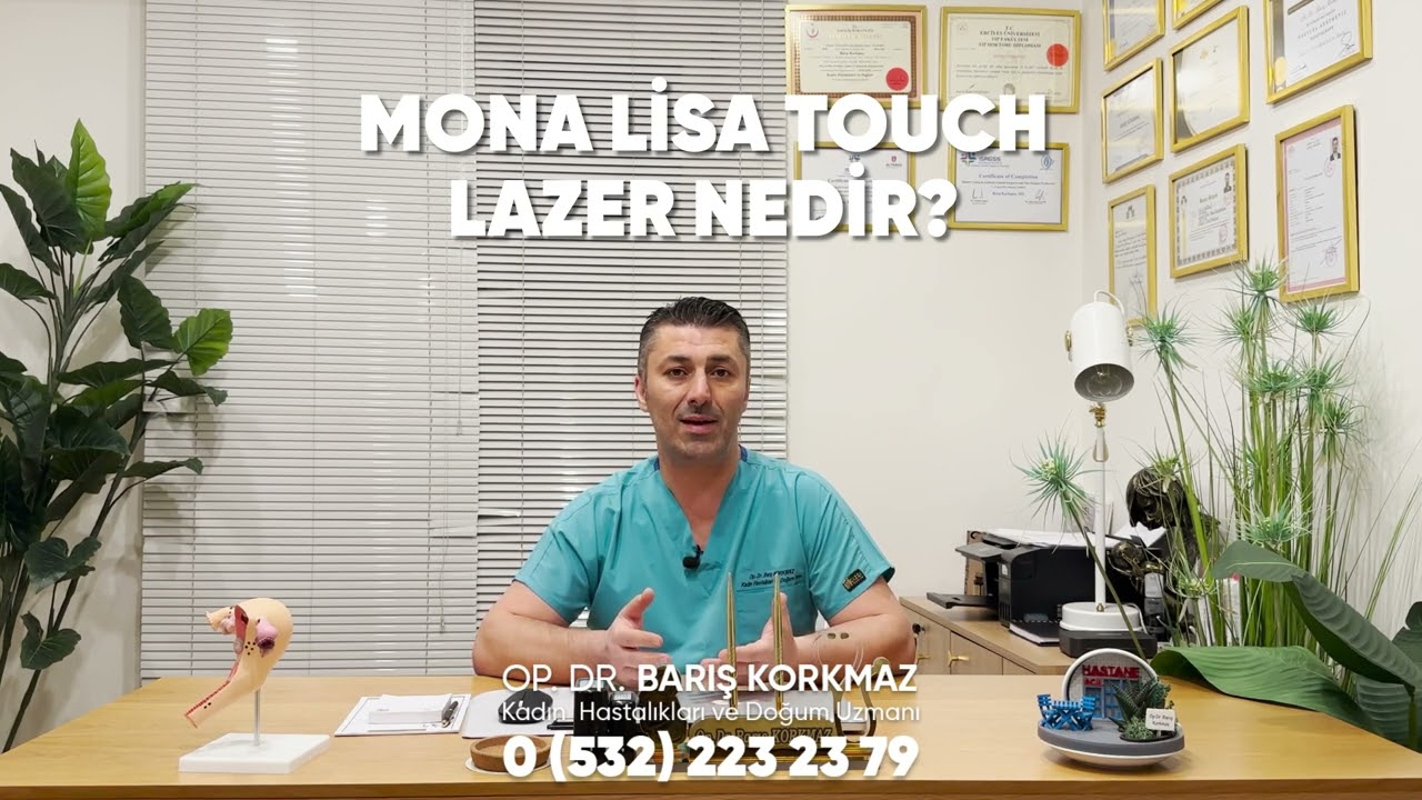Mona Lisa Touch Nedir?