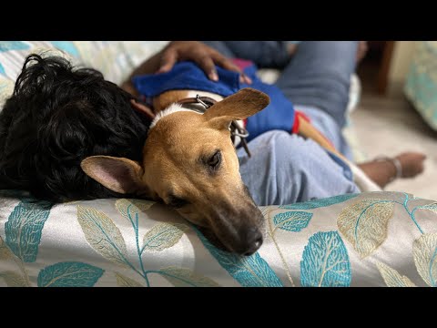 Aaj  Cutie mujhse gussa hai! Bhai k pas jaakr soyi hai