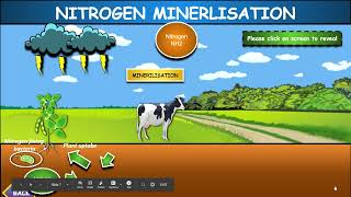 The Nitrogen Cycle: Interactive Google Slides + Powerpoint Version + Printable Worksheet