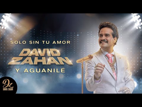Solo Sin Tu Amor, David Zahan Y Aguanilé - Video Letra