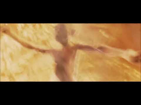 LOTR The Return of the King - Sauron Defeated