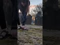 Barefoot Cemetery Walking in Winter #barefoot
