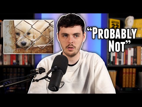 Do Animals Have a "Right to Life"?