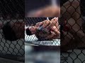 Brendon Moreno S Rear Neked Choke Win Over Figueiredo Figueiredo V Moreno 2 Ufc Mma Submission
