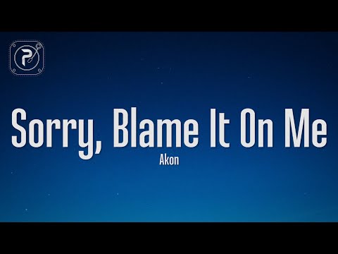Akon - Sorry, Blame It On Me (Lyrics)