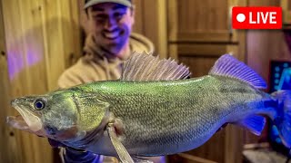 LIVE 🔴  Lake Winnipeg Walleyes (!!)