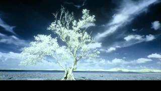 Music video thumbnail preview for Violet Cold - Everything You Can Imagine Is Real... (Unofficial Music Video) by Violet Cold