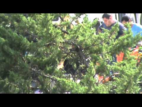 Via dell Acciaio Campo da pallone