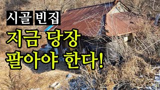 시골 빈집, 지금 당장 팔아야 한다! (내 고향을 지키려면)