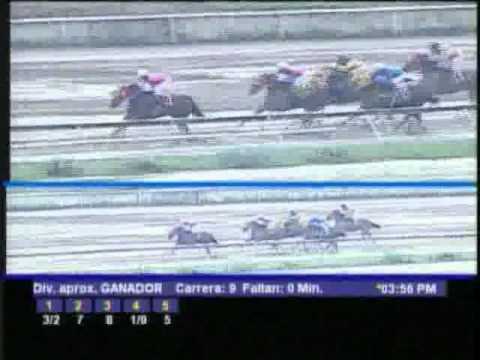 Copa El Corsario  2011 - La Rinconada