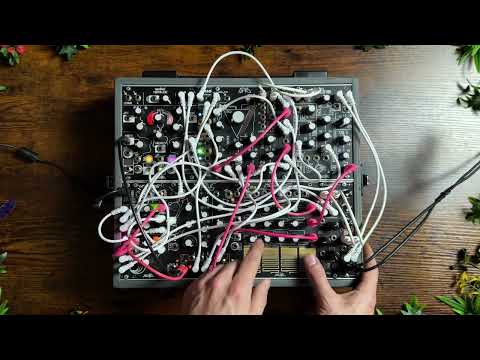 Make Noise Tape & Microsound Music Machine Modular System 2008 - Present - Black image 5