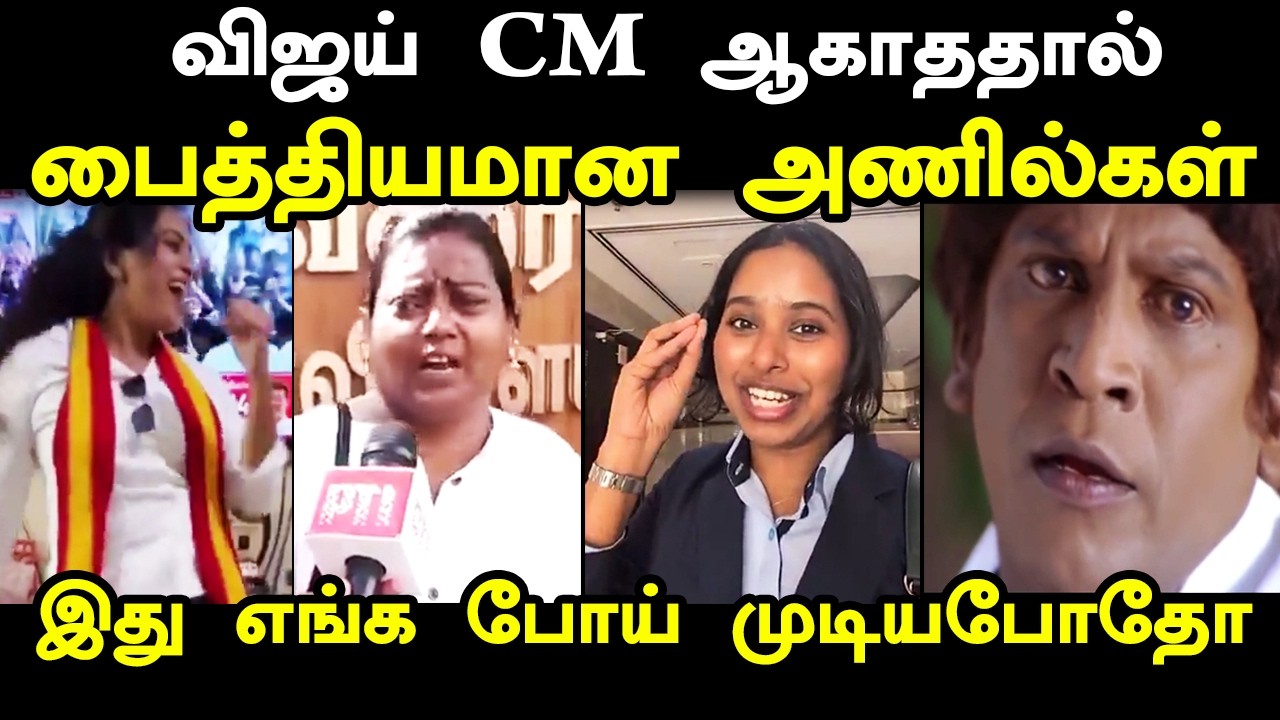 விஜய் CM ஆகாததால் பைத்தியமான அணில்கள் I #vijay #tvkcongressalliance #kptroll #