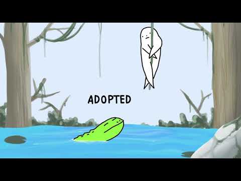 Viakavish - Come down to papa