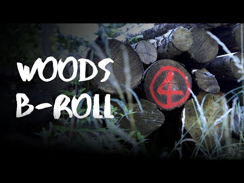 2 minutes of chill | Filming B-Roll in the woods