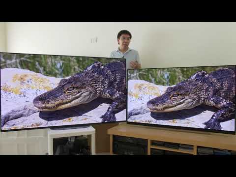LG E9 vs Sony AG9 (A9G) 2019 OLED TV Comparison