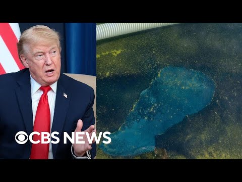 Trump blames alleged vandalism as Reflecting Pool remains green and swamped with issues