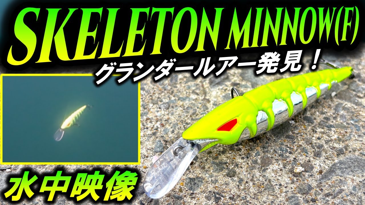 【水中映像】スケルトンミノー！シーバスも釣れるらしい！グランダー武蔵・グランダールアー　WaterLand