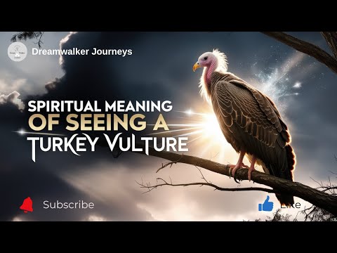 Spiritual Meaning of Seeing a Turkey Vulture: Transformation, Renewal & Divine Guidance