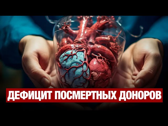 Как сегодня себя чувствуют пациенты первой в Казахстане перекрестной трансплантации почек