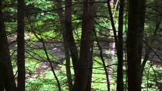 preview picture of video 'Hiking - High Falls - Philmont (Claverack) New York - Green Trail'