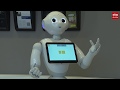 Politie Assen test politierobot Pepper