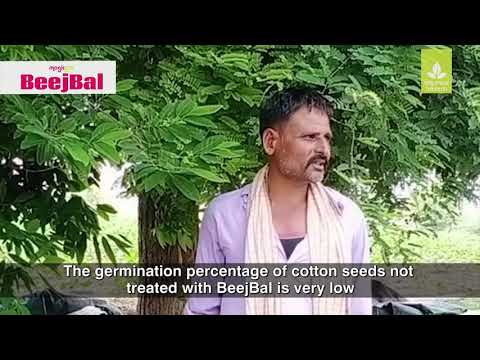 Powder enhancing seed germination in cotton, packet, 50 g