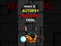 Autopsy Hacking Tool Explained 🔥😱🔥 #autopsy #hackingtools