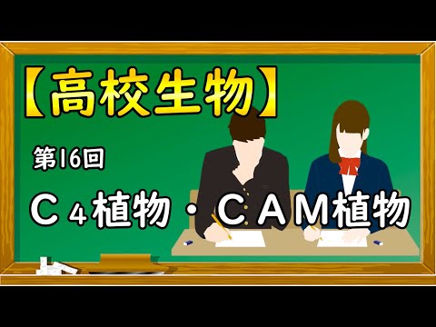 なぜ植物にコルクを入れるのですか？ 4 つの理由、4 つの用途  庭園