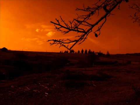 Involucion -- Camilo Séptimo