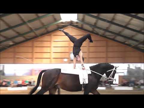 Voltigieren -Turnier Ingelsberg 2019- Regina Burgmayr