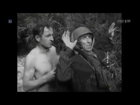 4P - Wisła (hier gustav)