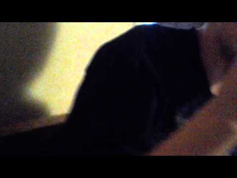 Boy goes crazy  for takis