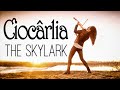 Ciocârlia (The Skylark) 🎻 Violin Cristina Kiseleff