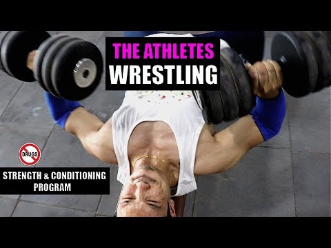 download lagu mp3 mp4 Wrestling Workout Program Pdf, download mp3 Wrestling Workout Program Pdf free downloadn, video klip Wrestling Workout Program Pdf