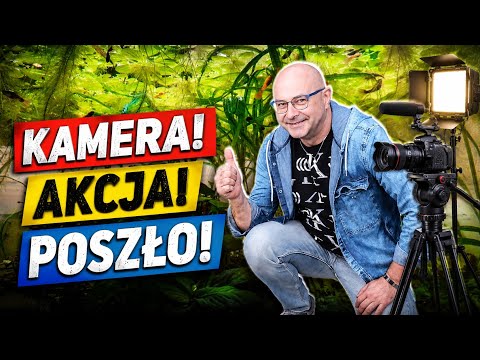 Film - ciekawostka -Grundig do akwarium.