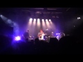 Racoon - freedom 