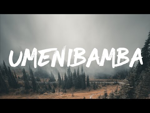 Ronze - UMENIBAMBA (Lyrics) ft.Sonia