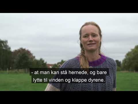Biodiversitet og Natur i Utterslev Mose