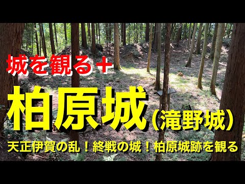 [Ver el castillo +]《Castillo Kashiwara (Castillo Takino)》2023 ~¡Rebelión Tensho Iga! ¡Castillo al final de la guerra! Ver las ruinas del castillo de Kashiwara