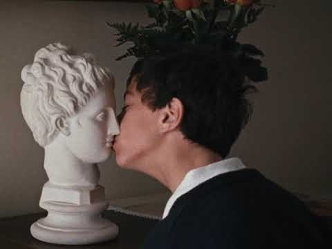 A Metamorfose dos P&aacute;ssaros