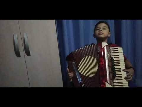 Fio de cabelo no acordeon-vini gaiteiro