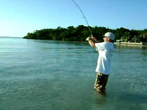 Bahamas tropical paradise, fishing in your own backyard!
