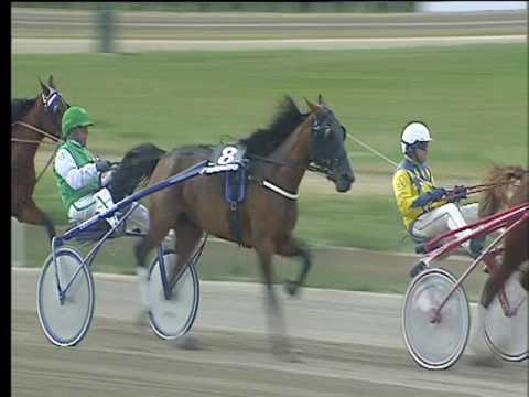 Trotto 21/05/2017 - 4ª corsa