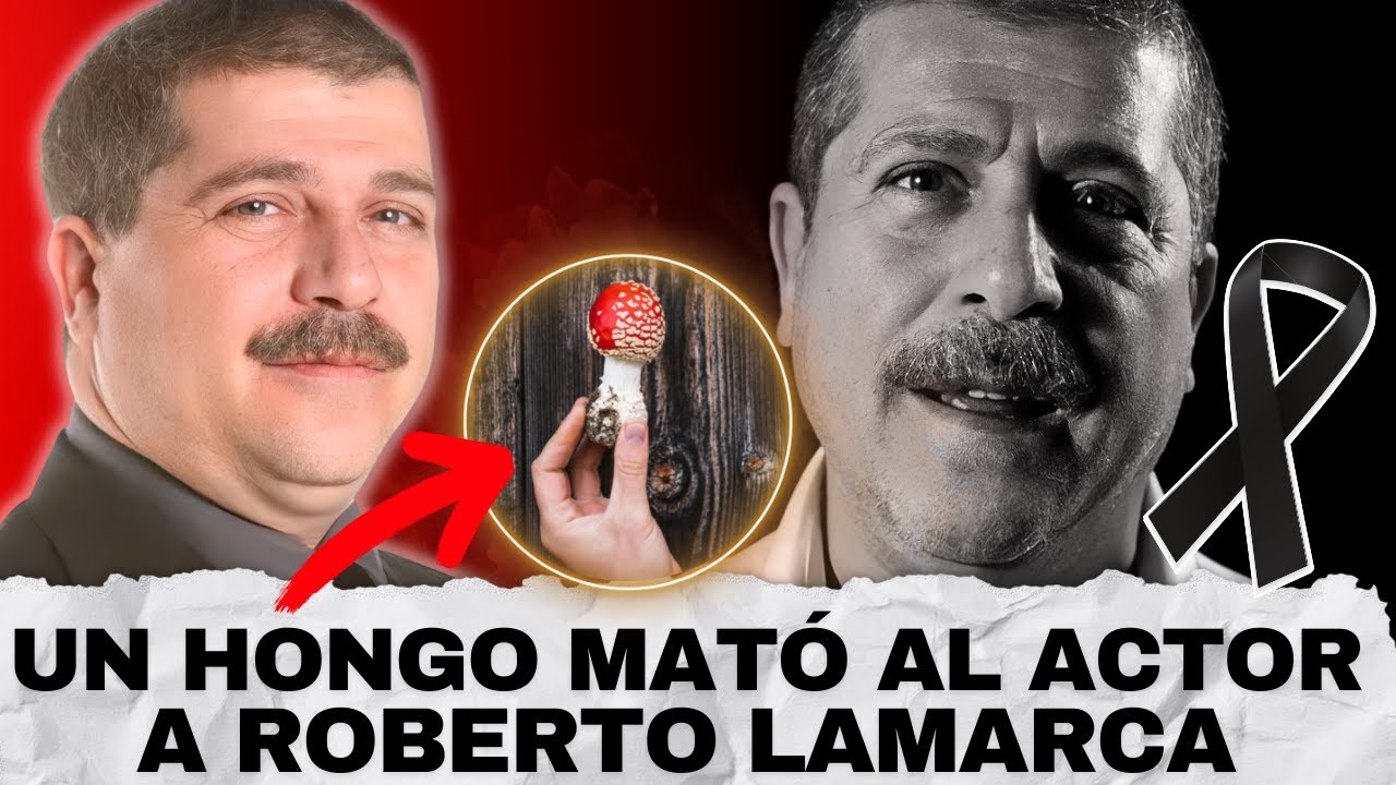 YouTube Thumbnail Downloader FULL HQ IMAGE