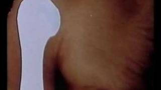 Sistema Scheletrico (parte 2/2)